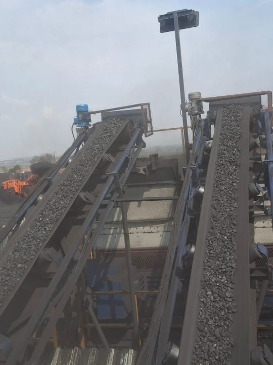 Two conveyors carrying product side by side